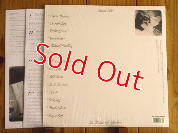 画像2: Puma Blue / In Praise Of Shadows (2)