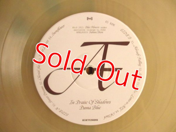 画像3: Puma Blue / In Praise Of Shadows (3)