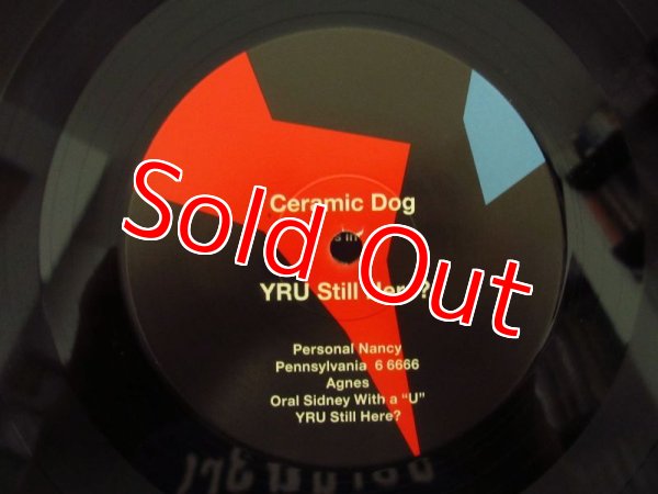 画像3: Marc Ribot, Shahzad Ismaily, Ches Smith / Ceramic Dog - YRU Still Here? (3)