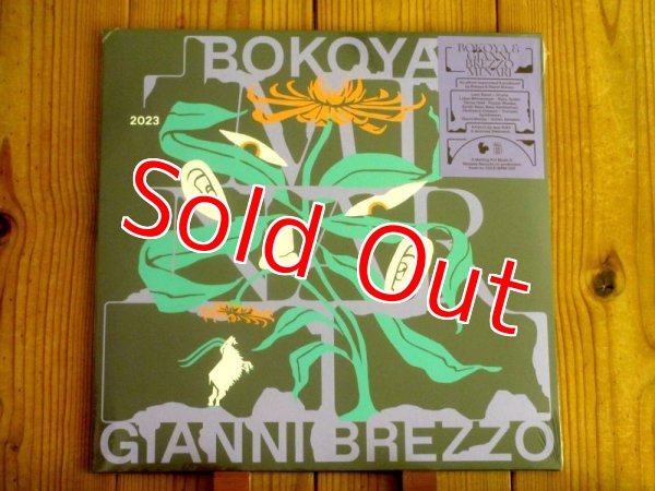 画像1: ジャズヒップホップバンドBokoyaとギタリストのジャンニブレッツォによるコラボ作品がアナログ盤で入荷！■Bokoya & Gianni Brezzo / Minari (1)