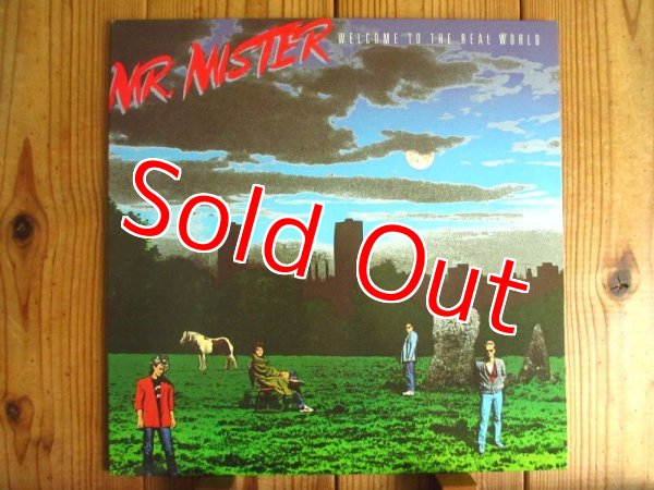 画像1: Mr. Mister / Welcome To The Real World (1)