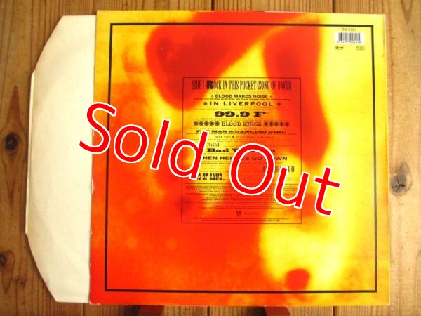 画像2: Suzanne Vega / 99.9F° (2)