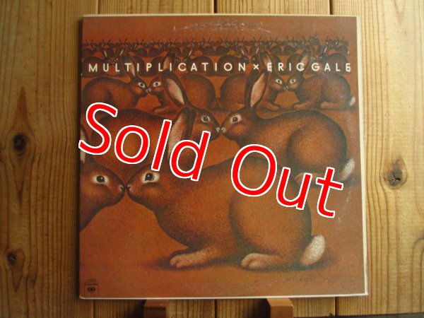 画像1: Eric Gale / Multiplication (1)
