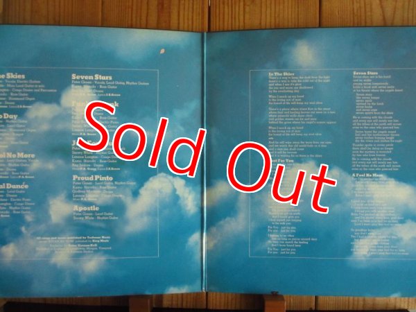 画像2: Peter Green / In The Skies (2)