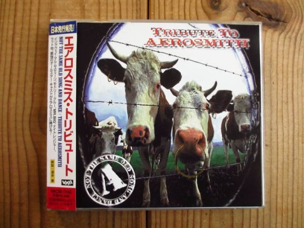 画像1: V.A. / エアロスミス・トリビュート = Tribute To Aerosmith: Not The Same Old Song And Dance (1)