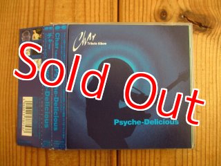 Stevie Salas / The Electric Pow Wow - Guitar Records