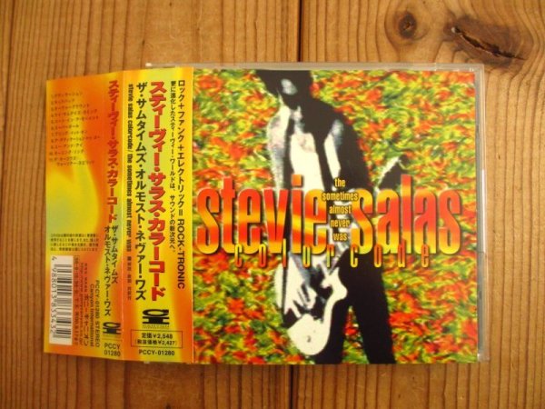 画像1: Stevie Salas Colorcode / The Sometimes Almost Never Was (1)