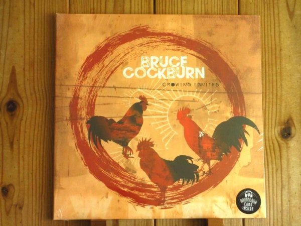 画像1: 全編インストゥルメンタルによるブルースコバーンの2019年作品がアナログ盤で入荷！■Bruce Cockburn / Crowing Ignites (1)
