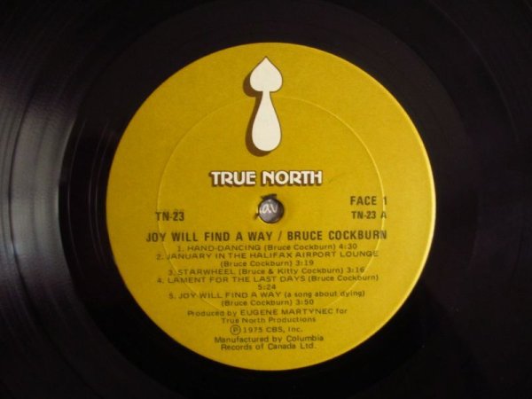 画像4: Bruce Cockburn / Joy Will Find A Way (4)
