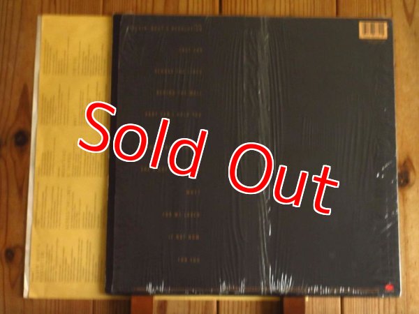 画像2: Tracy Chapman / Tracy Chapman (2)