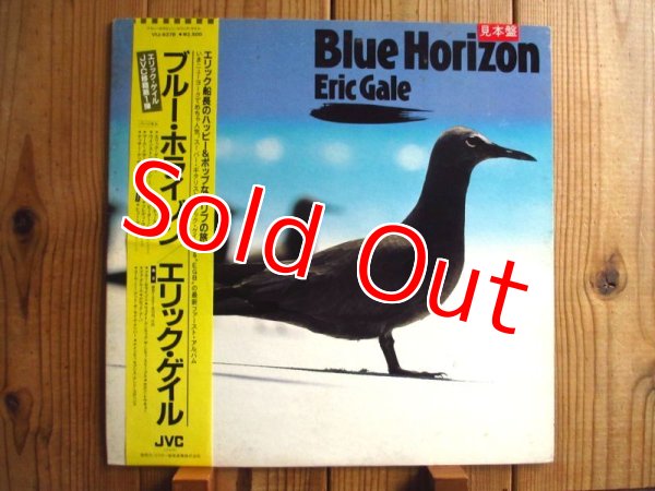画像1: Eric Gale / Blue Horizon (1)