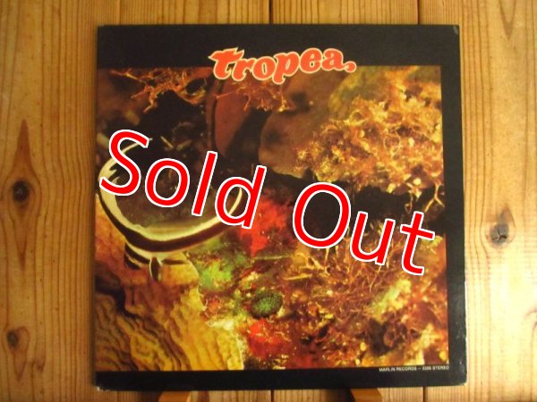 画像1: John Tropea / Tropea (1)