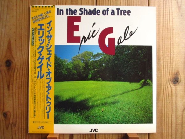 画像1: Eric Gale / In The Shade Of A Tree (1)