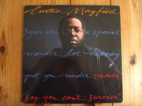 画像1: Curtis Mayfield / Never Say You Can't Survive (1)