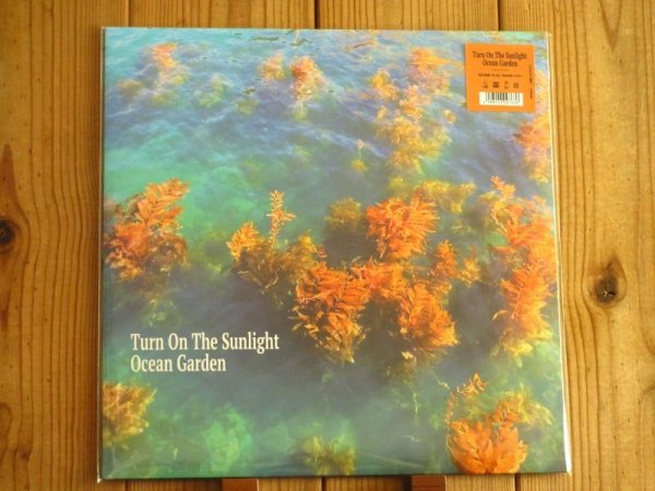 画像1: LA音楽シーンで多くのミュージシャンに愛されるジェシーピーターソン率いるカルロスニーニョ、フィルラネリンら豪華コレクティブによる2024年作アナログ盤が入荷！■Turn On The Sunlight / Ocean Garden (1)