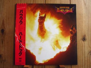 VOWWOW FC会報　Vol.27〜Vol.63  EPレコード3枚 2024.6.29 VOW WOW。〜新美俊宏一周忌追悼〜〈CLUB CITTA