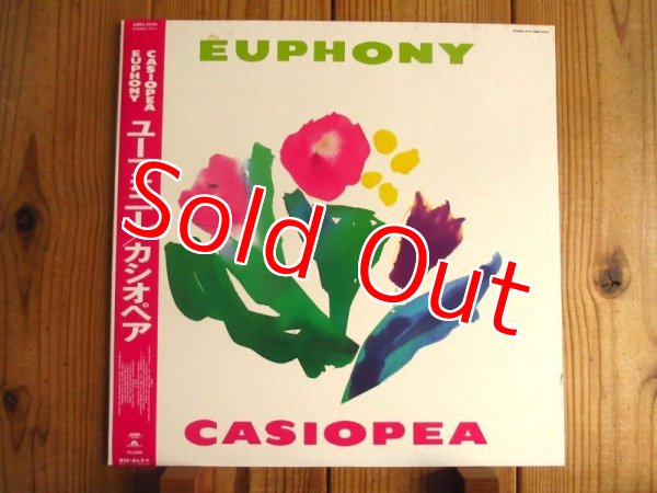 画像1: Casiopea / Euphony (1)