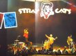 画像2: Stray Cats / 40 (2)