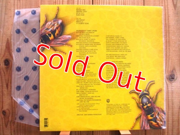 画像2: Yellowjackets / Yellowjackets (2)