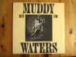画像1: Muddy Waters / King Bee (1)