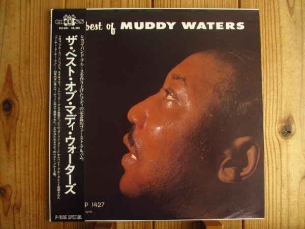 画像1: Muddy Waters / The Best Of Muddy Waters (1)