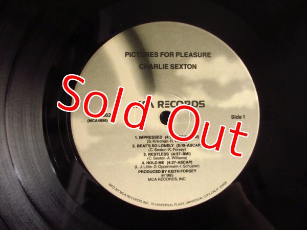 画像3: Charlie Sexton / Pictures For Pleasure (3)