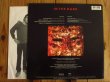 画像3: Grateful Dead / In The Dark (3)