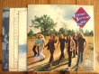 画像2: Lynyrd Skynyrd / Nuthin' Fancy (2)