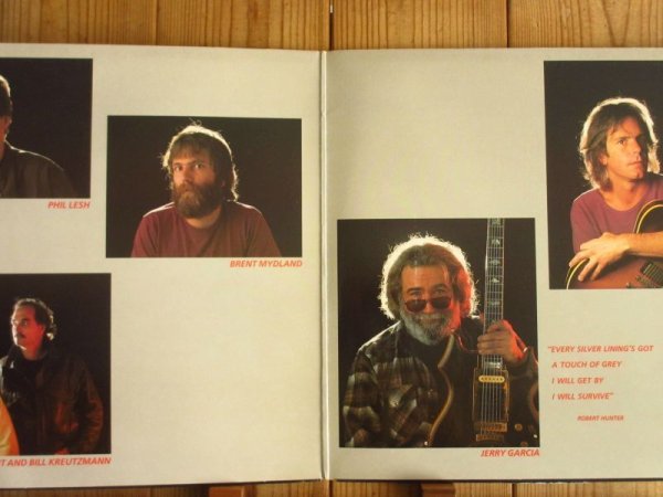 画像2: Grateful Dead / In The Dark (2)