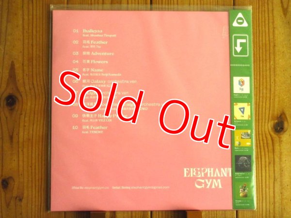 画像2: 世界的人気の台湾出身ポストロックバンド2024年作がアナログ盤で入荷！■Elephant Gym / World (2)