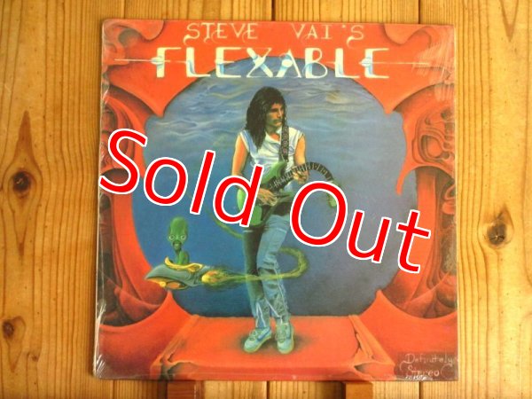 画像1: Steve Vai / Flex-Able (1)