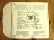 画像2: Steve Vai / Flex-Able (2)