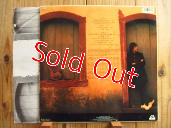 画像2: Toninho Horta / Diamond Land (2)