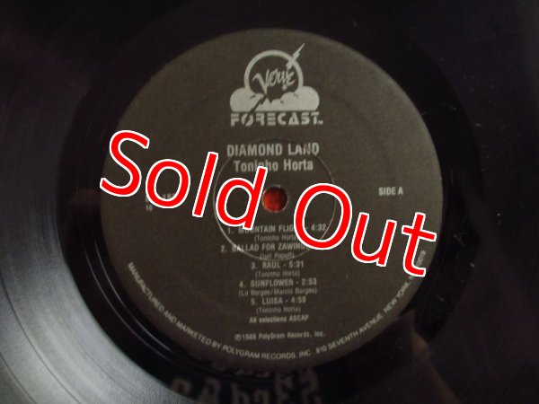 画像3: Toninho Horta / Diamond Land (3)