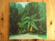 画像1: Gabor Szabo / Magical Connection (1)