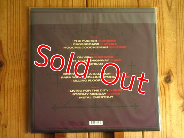 画像2: 現代ギターヒーロー、スラッシュ14年振りの完全ソロアルバムがアナログ盤で入荷！■Slash / Orgy Of The Damned (2)