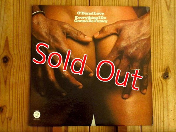 画像1: O'Donel Levy / Everything I Do Gonna Be Funky (1)