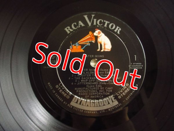 画像3: Duane Eddy / Water Skiing (3)