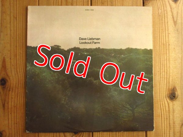 画像1: Dave Liebman / Lookout Farm (1)