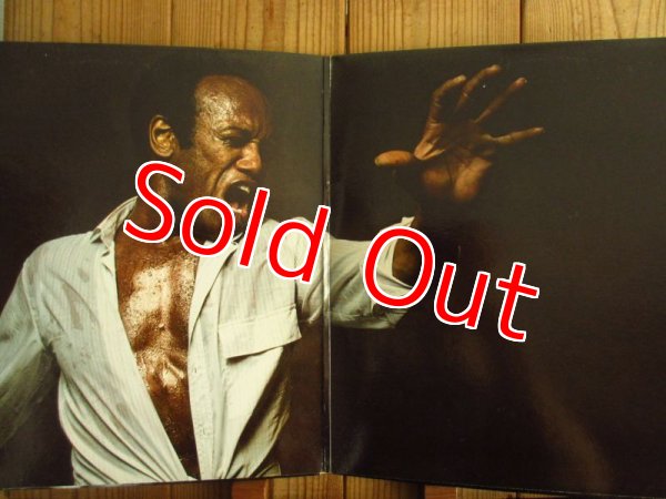 画像2: Bobby Womack / Someday We'll All Be Free (2)