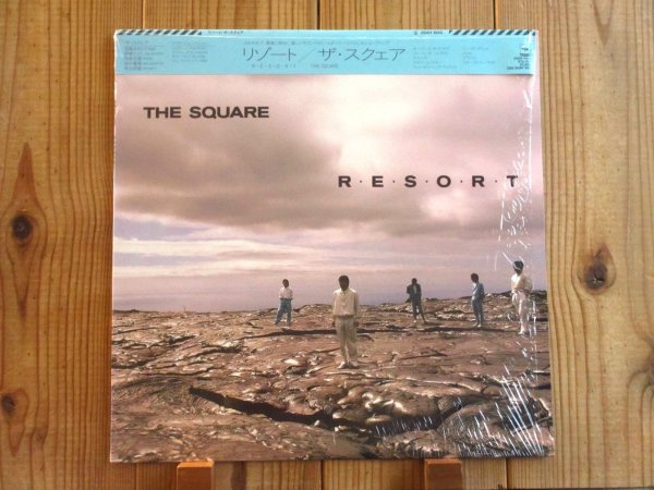 画像1: The Square / R・E・S・O・R・T (1)