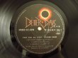 画像3: 渡辺香津美 / Kazumi Band - Talk You All Tight = 頭狂奸児唐眼 (3)