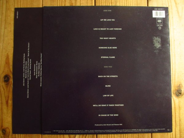 画像2: John Norum / Total Control (2)