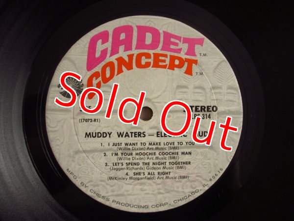 画像4: Muddy Waters / Electric Mud (4)