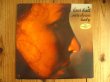 画像1: PROMOオンリーMONOモノラル白ラベル！■Lani Hall / Sun Down Lady (1)