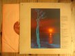 画像2: PROMOオンリーMONOモノラル白ラベル！■Lani Hall / Sun Down Lady (2)