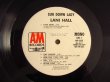 画像3: PROMOオンリーMONOモノラル白ラベル！■Lani Hall / Sun Down Lady (3)