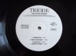 画像3: Bill Frisell - triode / Live - Winter 78 Chapati (3)