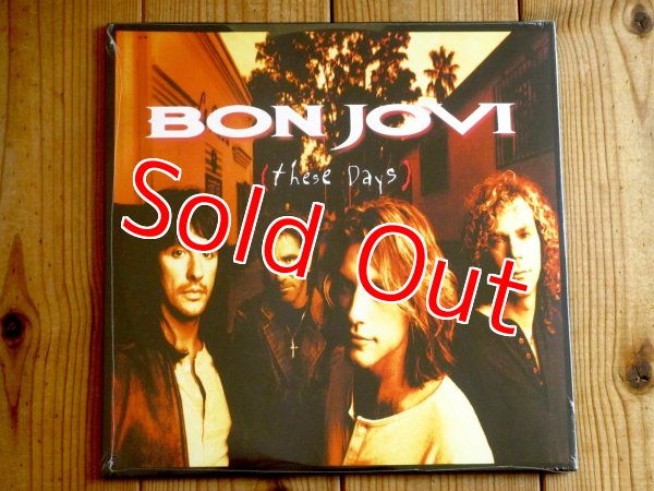 画像1: 今やリイシュー盤も品薄！多くのヒットシングルを輩出し日本でも大ヒットを記録したボンジョヴィ通算6枚目の人気盤がアナログ盤で入荷！■Bon Jovi / These Days (1)