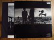 画像3: U2 / The Joshua Tree (3)